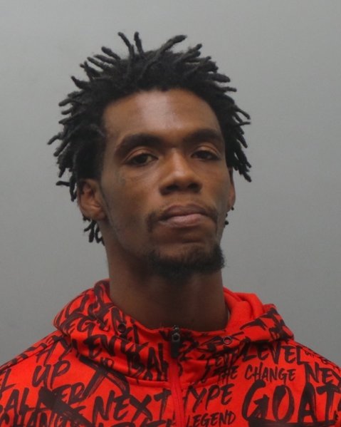 Mugshot of ROBERT J ECHOLS