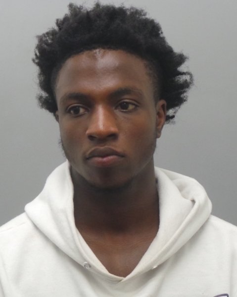 Mugshot of KALIN BUSH
