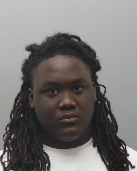 Mugshot of BRANDON DEONTA RAINEY