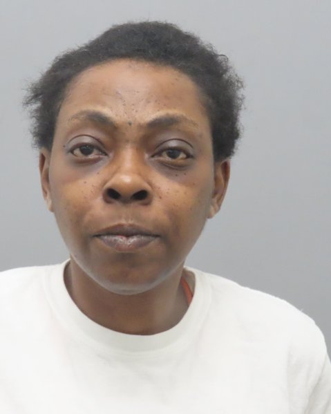Mugshot of KIMEKA L HAMILTON