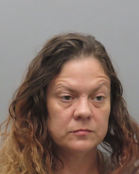 Mugshot of DANIELLE MARIE ELY