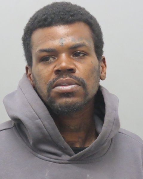 Mugshot of ROBERT LEE J PEEBLES