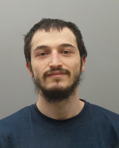 Mugshot of DAVID BENJAMIN FINKELSTEIN
