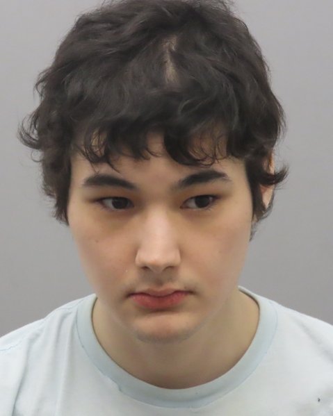 Mugshot of ERIC DAVIS