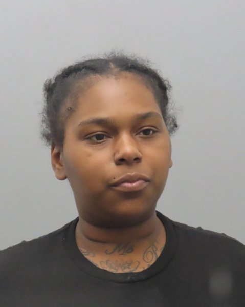 Mugshot of BRIANNA ACKERMAN