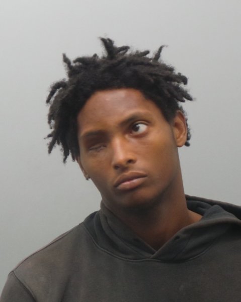 Mugshot of LARRY GRAY