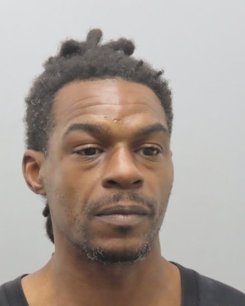 Mugshot of MARTE C ANDERSON