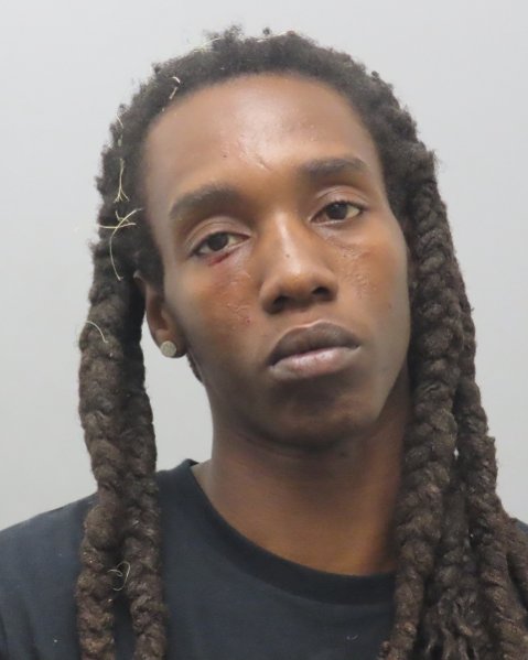 Mugshot of LESTER MEAD