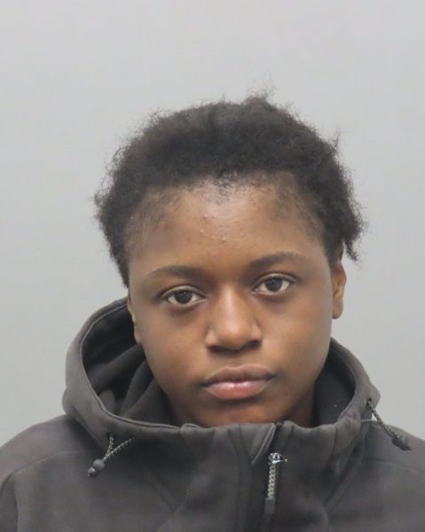 Mugshot of DAVIANA JESSICA WHITE