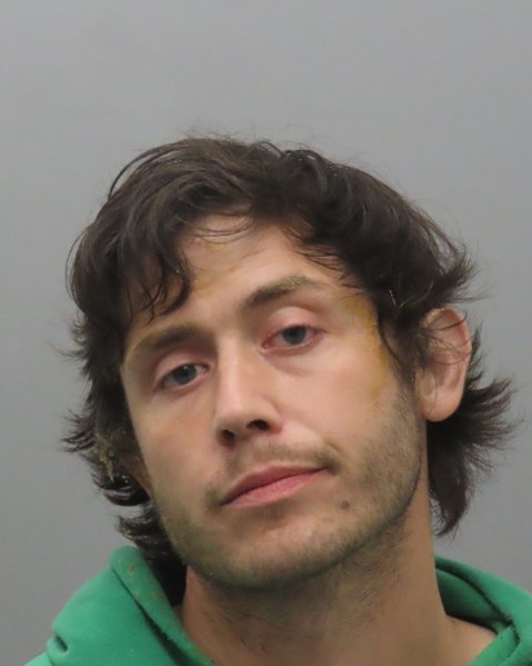 Mugshot of DYLAN FAIRE