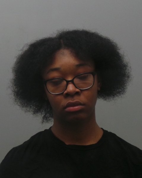 Mugshot of PERSIA SIMAREYA LANGSTON