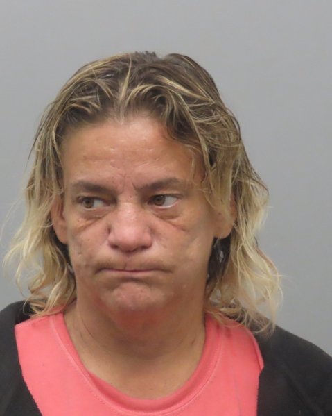 Mugshot of DYANNA MARIE RIEBOLD
