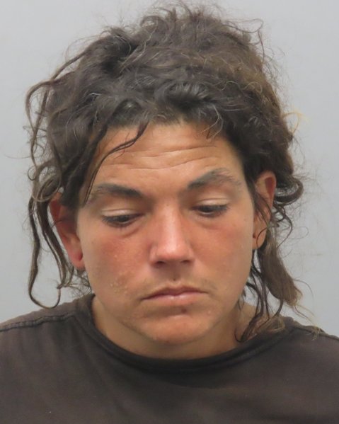 Mugshot of BRANDI NICOLE BROWN