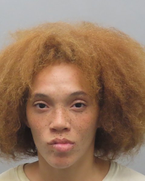 Mugshot of JOANNA SUBER