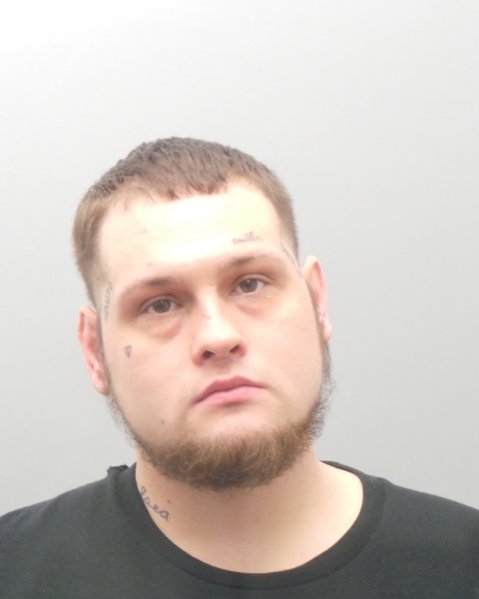 Mugshot of NICHOLAS SCHARDAN