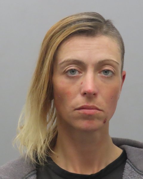 Mugshot of AMY ELIZABETH FRILLMAN