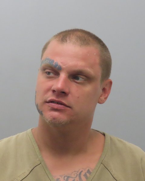 Mugshot of ERIK SCOTT MCFERRIN