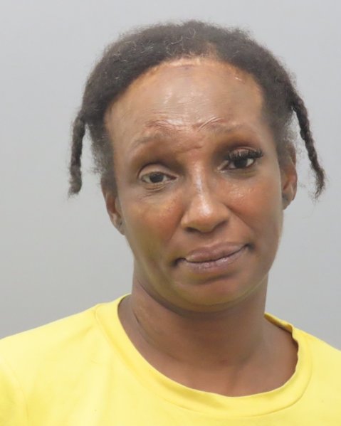 Mugshot of TAMIKA SHOUNE WILLIAMS
