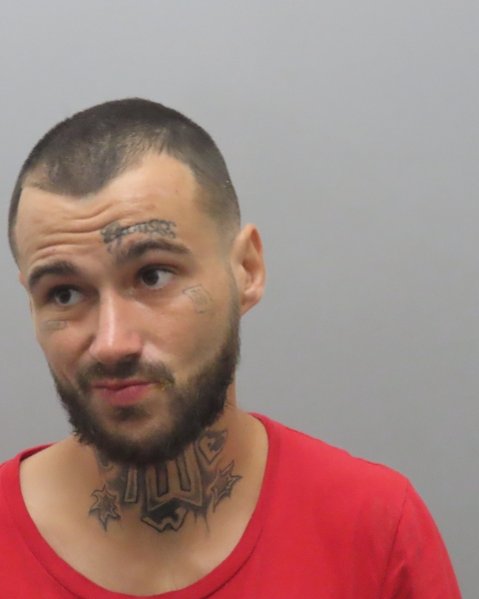 Mugshot of ROY COLTON SCHOENHOLTZ