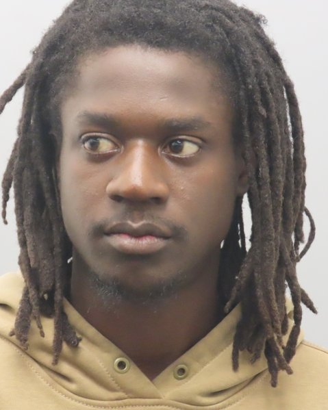 Mugshot of DEMONTE TYRONE MITCHELL