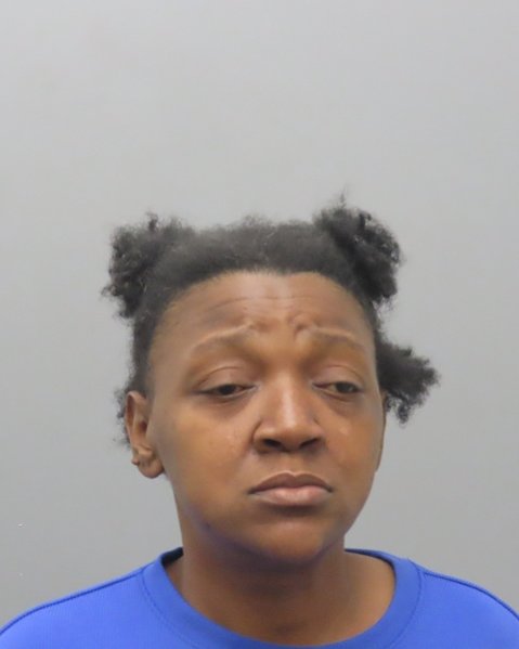 Mugshot of SHINEKA NICOLE BOLDEN
