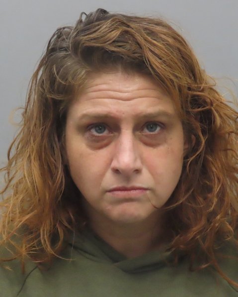 Mugshot of MEAGHAN ALEXIS HYLAND