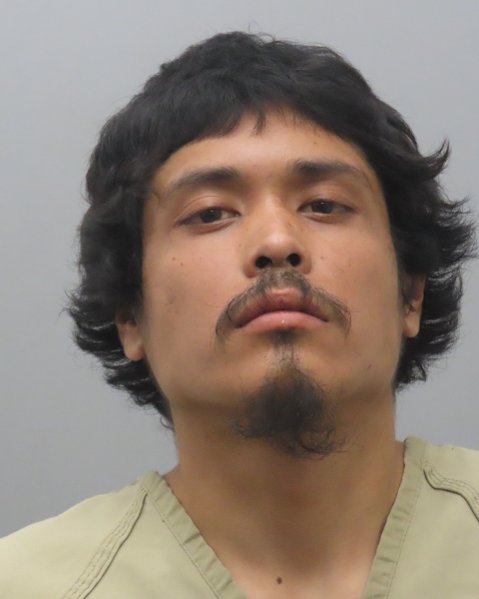 Mugshot of LUIS LEANDRO-CASTRO