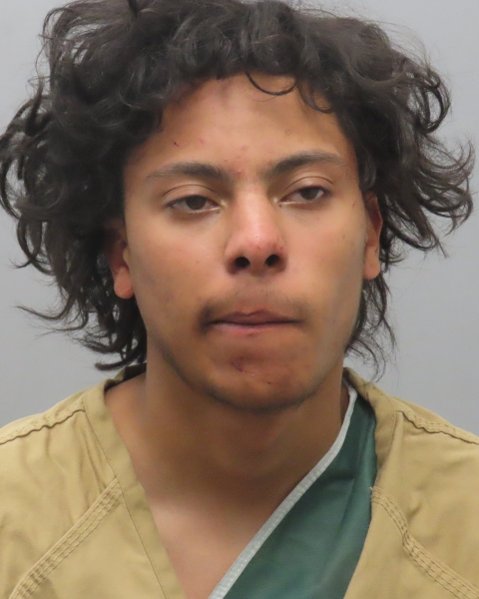 Mugshot of LOUIS EARL J FELTON
