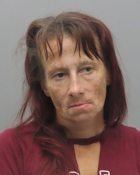 Mugshot of SARA NICOLE GARDNER