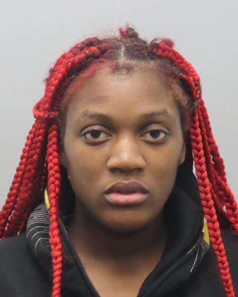 Mugshot of TORRENCE PRUITT