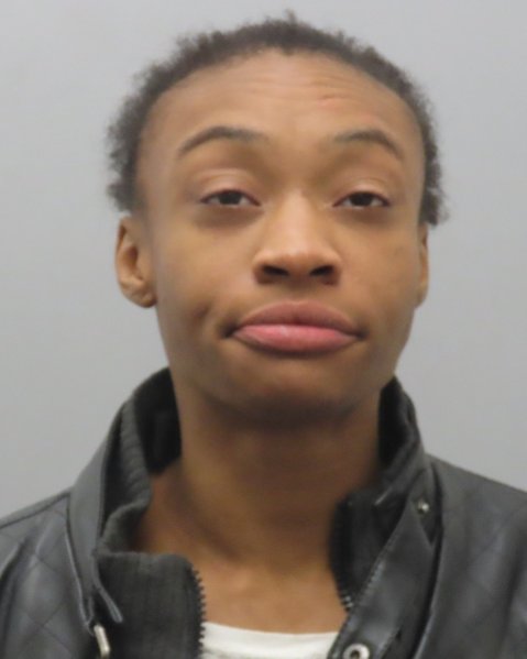 Mugshot of DANIELLE CHARYCE SMART