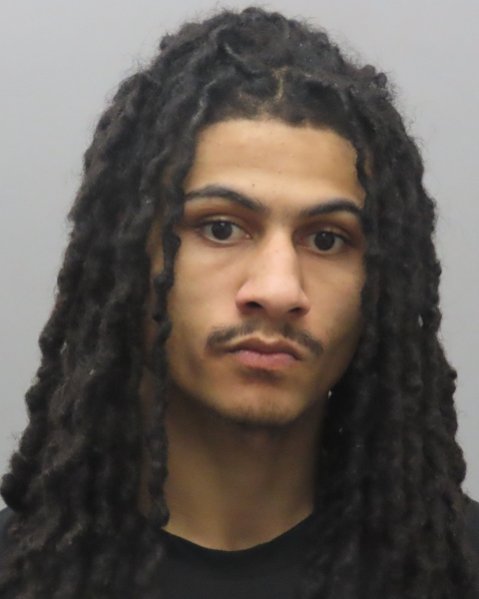 Mugshot of DAVID LAVAL WRIGHT