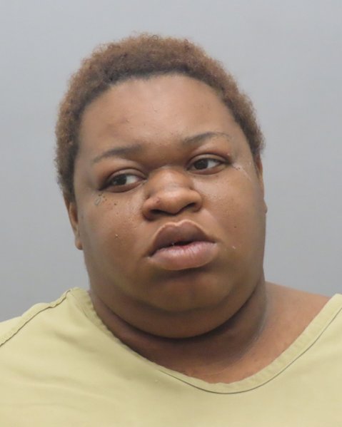 Mugshot of GIVEYONN LE CARTER