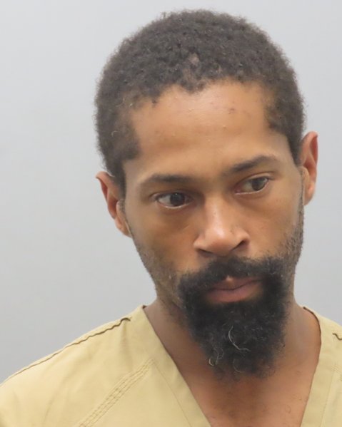 Mugshot of DERANDY J JOHNSON