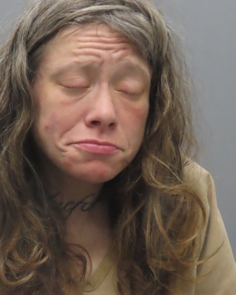 Mugshot of MARIA ELLEN FLINT
