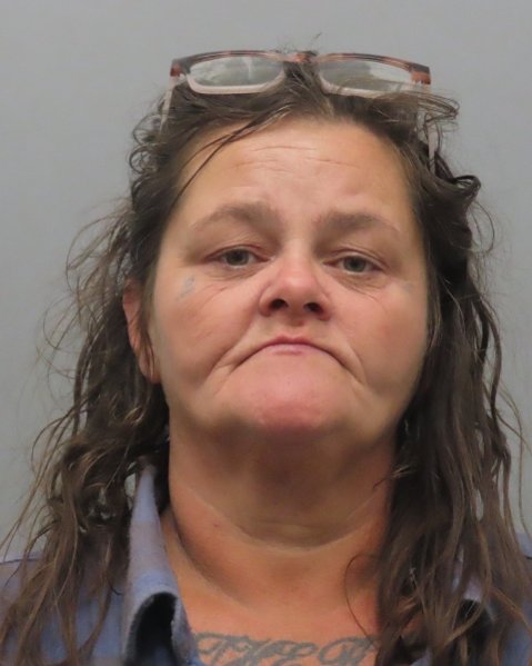 Mugshot of MICHELE DAWN BASINGER
