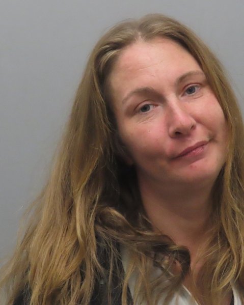 Mugshot of BRANDY NICOLE GEORGIA