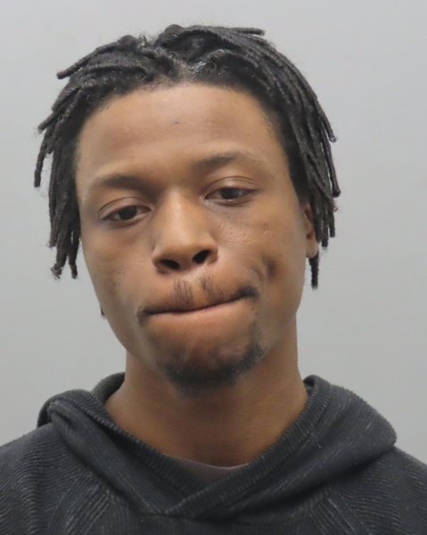 Mugshot of ERNEST LEON J WILLIAMS