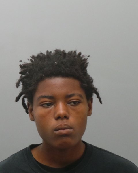 Mugshot of TIFFANY MONEE HORNBEAK