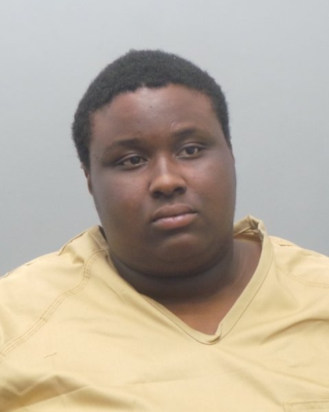 Mugshot of TONY LAVELL J DAVIS
