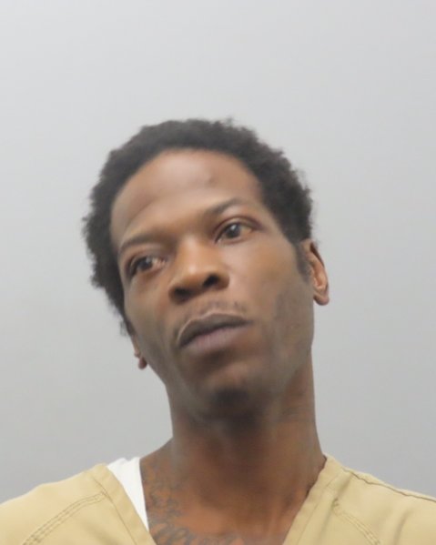 Mugshot of DAVID LANOT J DOUGLAS