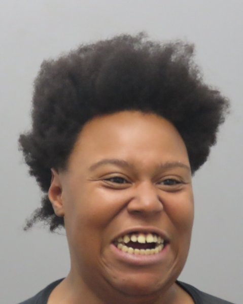 Mugshot of MELISSA ASHELY DRAPER