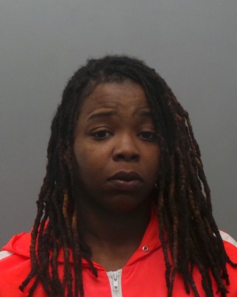 Mugshot of MARY ANNE CURTIS