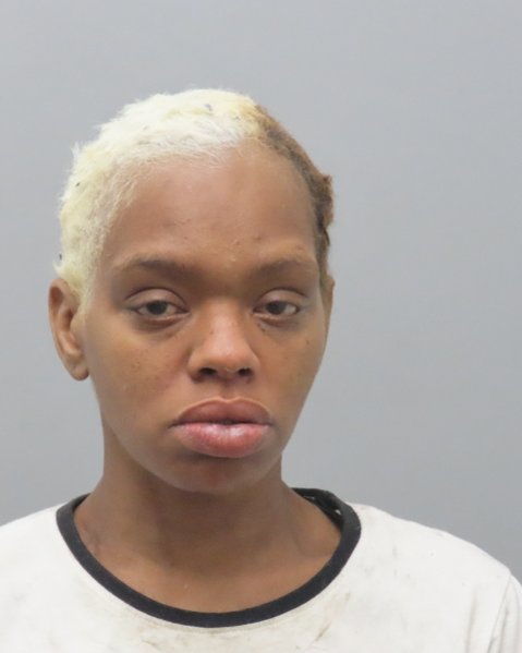Mugshot of VANITA JEAN BRINKLEY