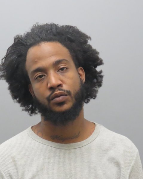 Mugshot of TERRY DUNELL J GRIMES