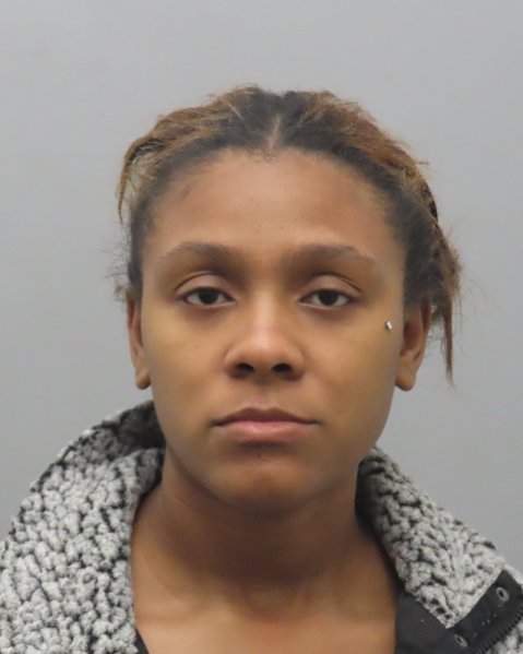 Mugshot of DERIKA ANTANISE JOHNSON