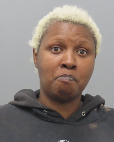 Mugshot of FELICIA S BATTLE