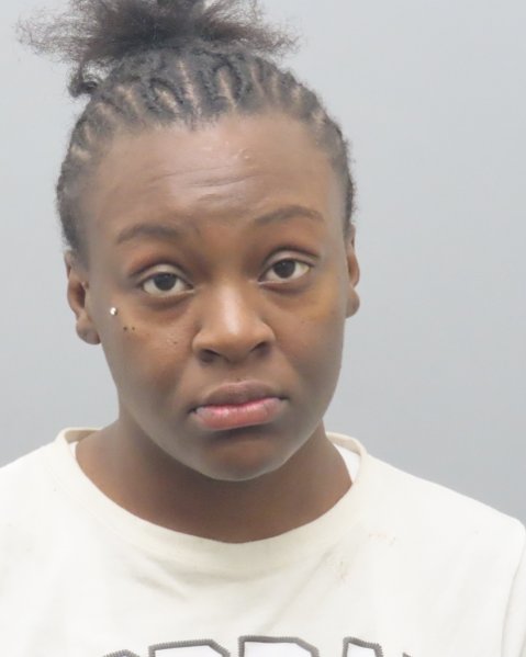 Mugshot of DIAMOND PATRICIA ANN SYKES