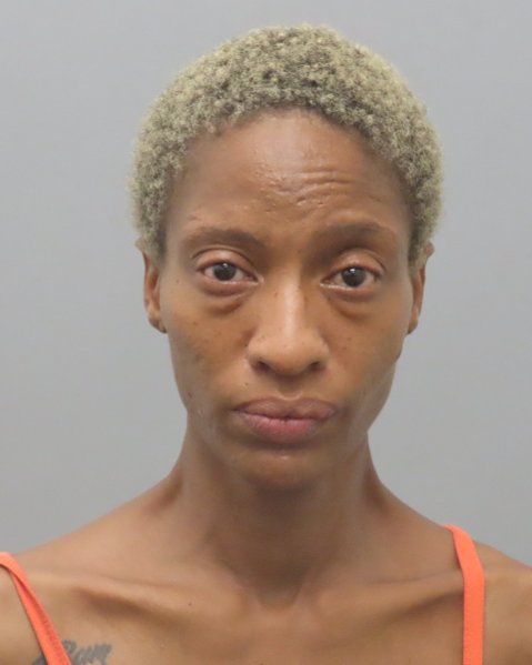 Mugshot of KELLY CHARLENE SHEPARD