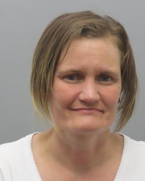 Mugshot of RICHELLE VANLUVEN FLORES